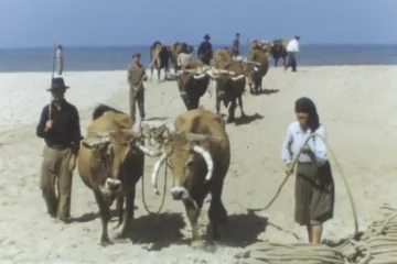 Image du film Les Pêcheurs sans port