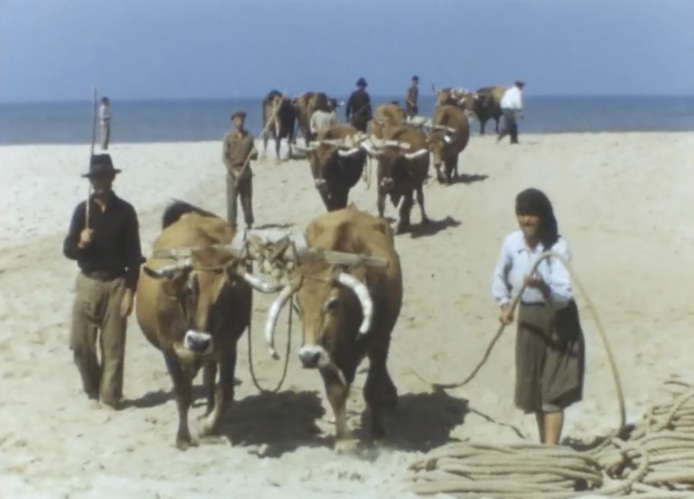 Image du film Les Pêcheurs sans port