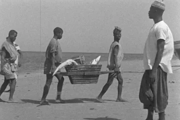 Image du film La Pêche au Sénégal d'Anita Conti